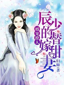 婚寵撩人:辰少的替嫁甜妻