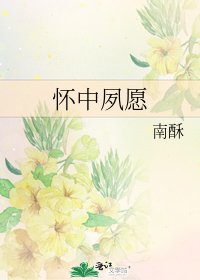 怀中夙愿