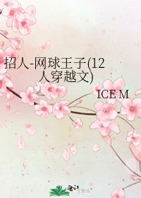 招人-网球王子(12人穿越文)