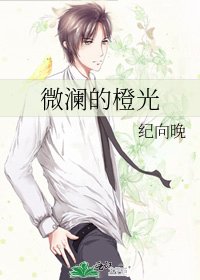 微澜的橙光